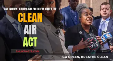 Interest Groups vs Polluters: Clean Air Act Power