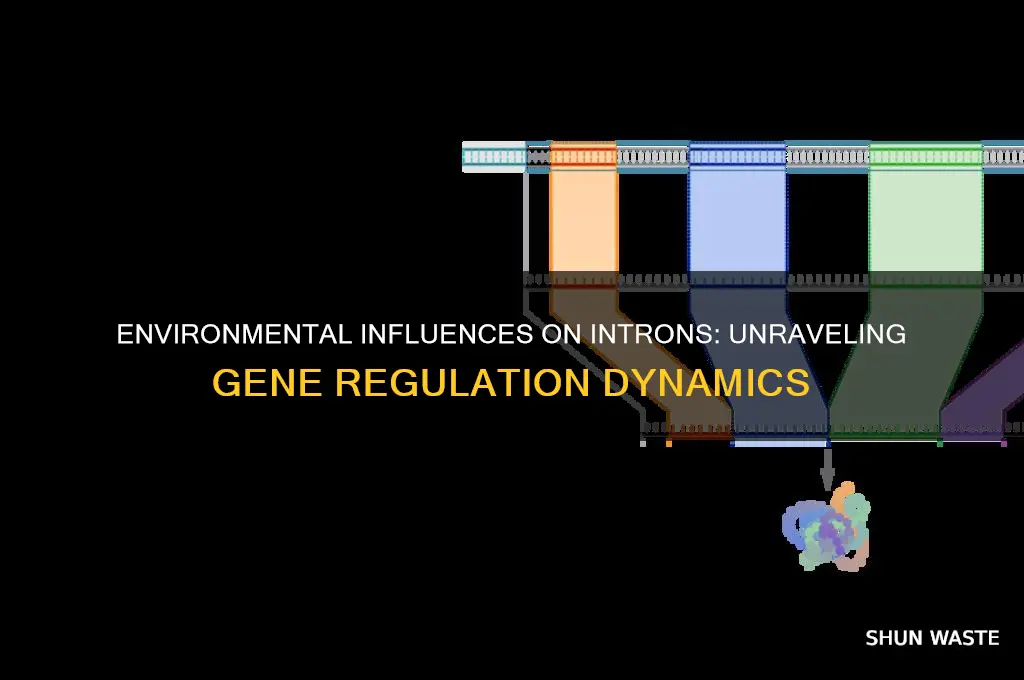can introns be affected by the environment