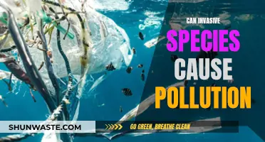 Invasive Species: Unseen Pollution Culprits?