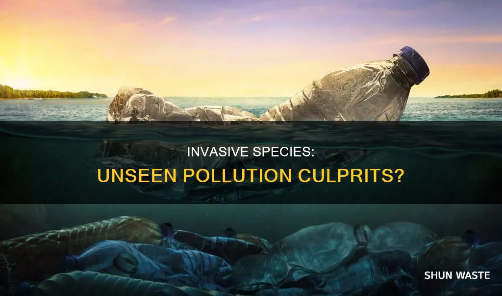 can invasive species cause pollution