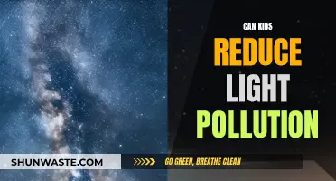 Kids' Role in Reducing Light Pollution