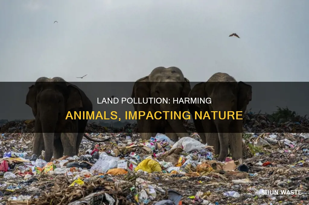 can land pollution affect animals