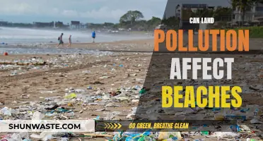 Land Pollution's Impact: Are Our Beaches at Risk?