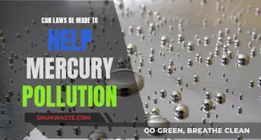 Laws to curb mercury pollution: What can be done?