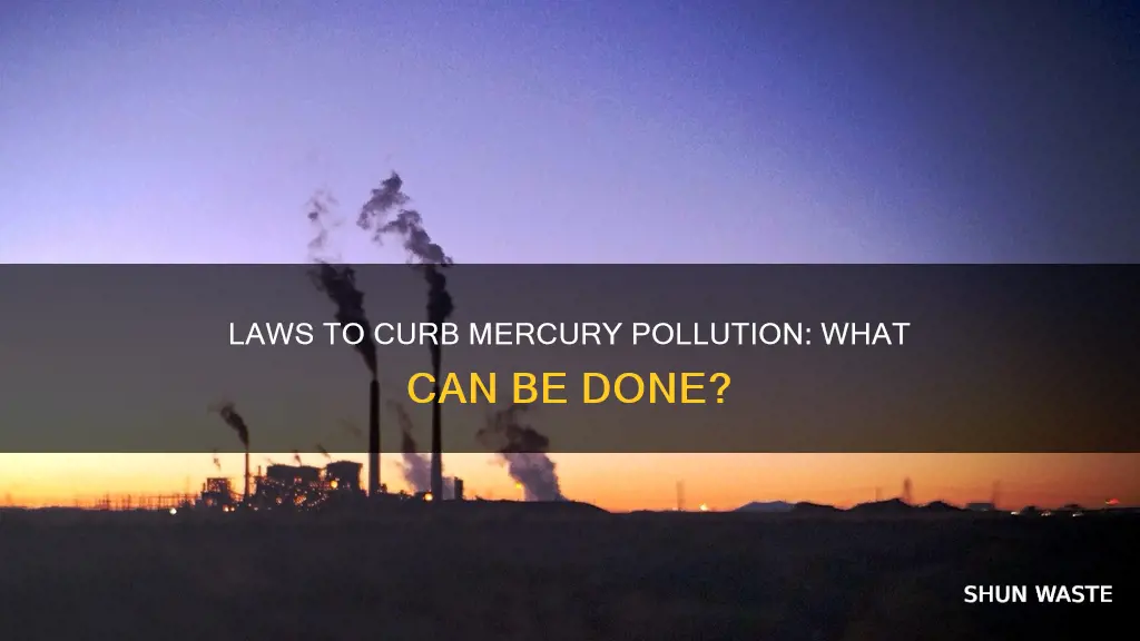 can laws be made to help mercury pollution