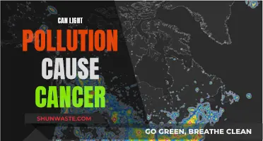 Light Pollution and Cancer: Is There a Link?