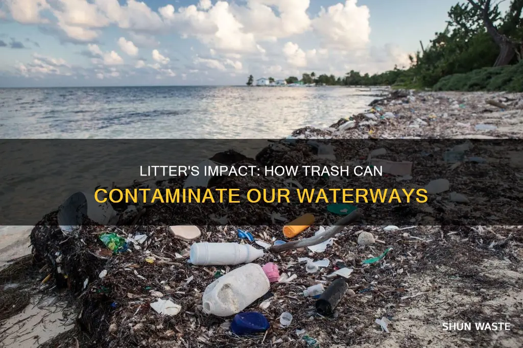 can littering cause water pollution