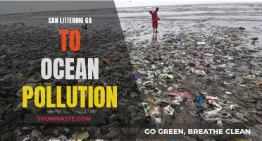 Littering's Impact: Ocean Pollution and its Devastating Effects