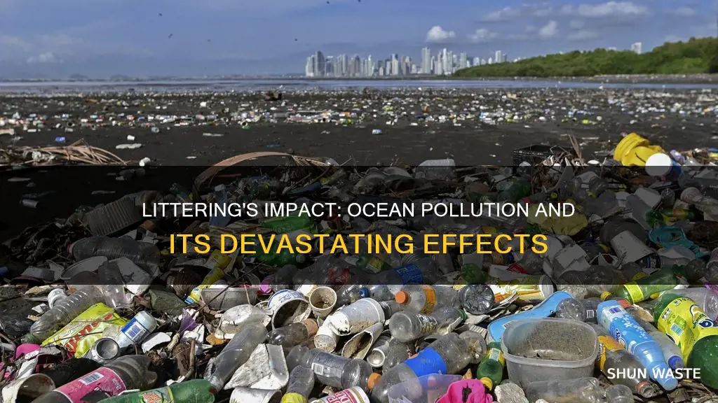 can littering go to ocean pollution