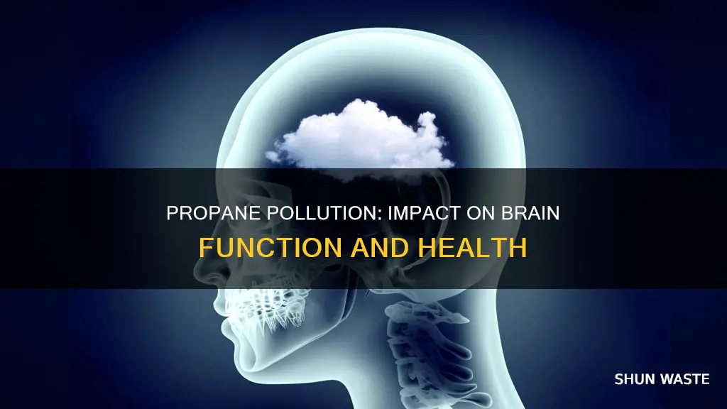 can low level propane pollution affect mid brain function