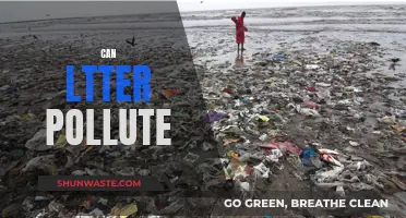 Litter Pollution: Understanding the Impact and Solutions