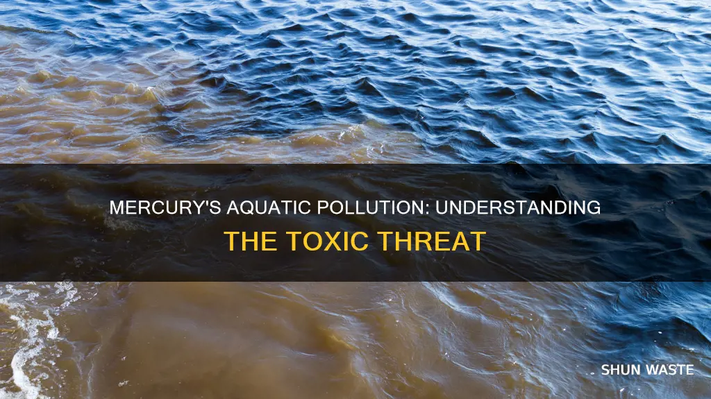 can mercury cause pollution in the water