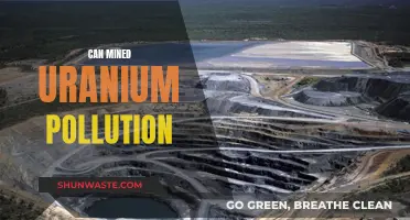 Uranium Pollution: Mining's Toxic Legacy and Impact