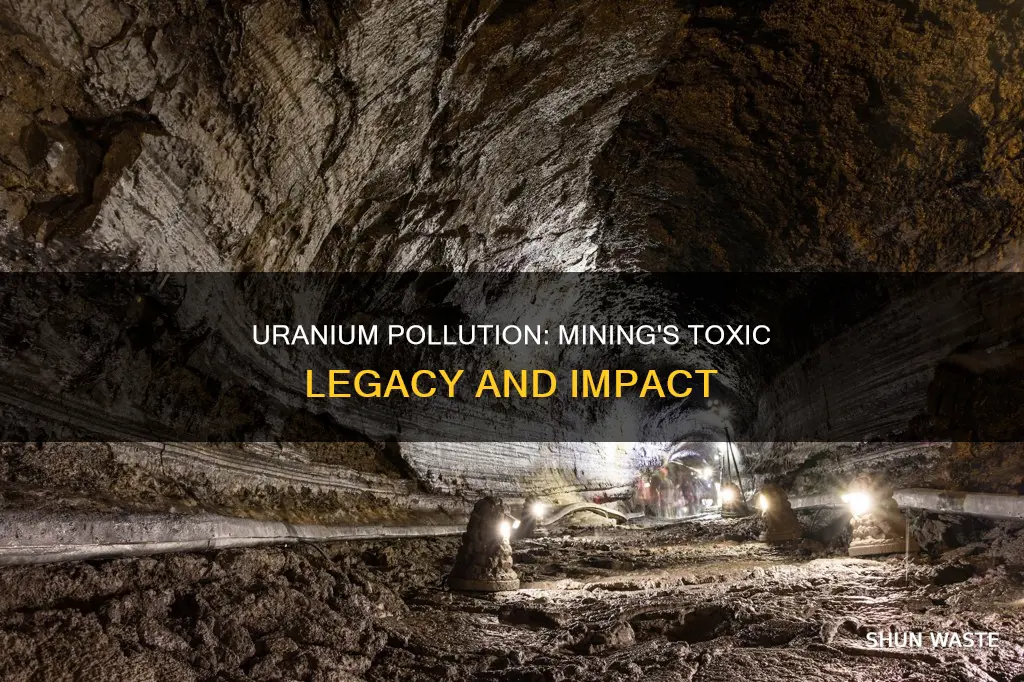 can mined uranium pollution