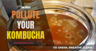 Moldy Kombucha: A Fermented Drink's Worst Nightmare