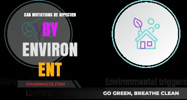 Environmental Factors and Their Impact on Genetic Mutations