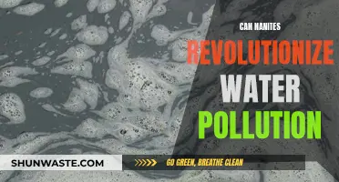 Nanites: Water Pollution's Revolutionary Solution?