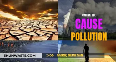 Nature's Pollution: A Contradiction or a Reality?