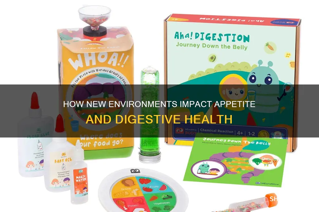 can new environments affect appetite and digestion