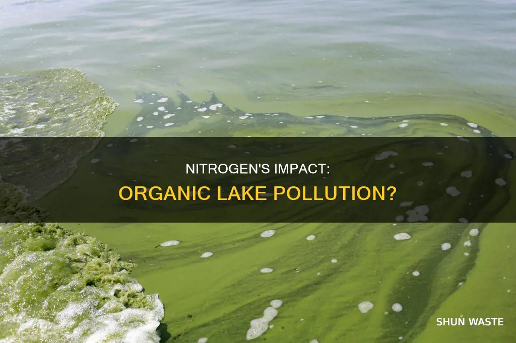 can nitrogen cause organic pollution if dump into the lakes