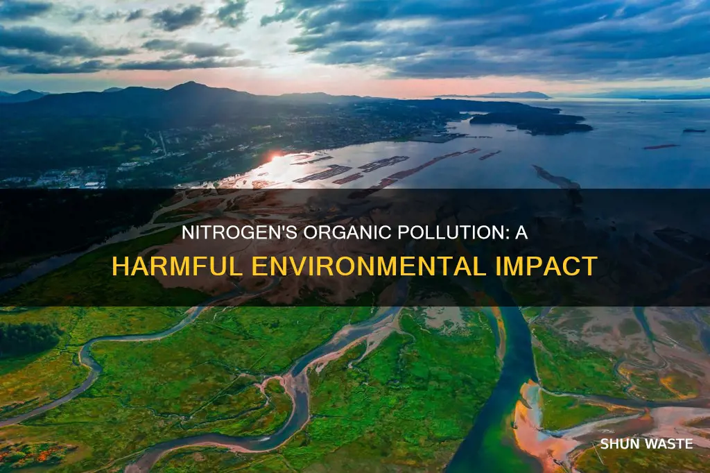 can nitrogen cause organic pollution