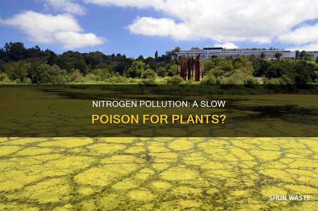 can nitrogen pollution destroy plants