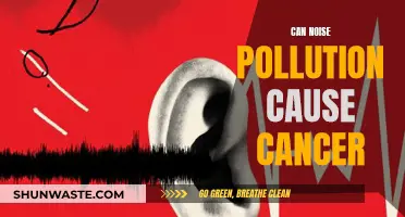 Noise Pollution: Cancer Risk and Health Hazards