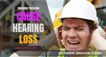 Noise Pollution: Hearing Loss Culprit?