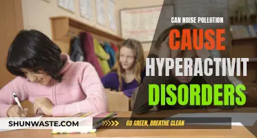 Noise Pollution: Hyperactivity Disorders and Their Link