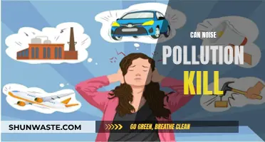 Noise Pollution: A Killer in Disguise?