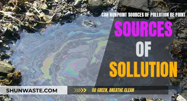 Nonpoint Pollution Solutions: From Sources to Saviours