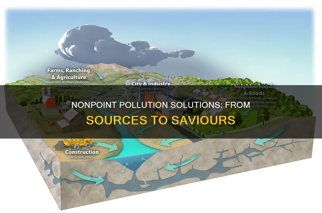 can nonpoint sources of pollution be point sources of sollution