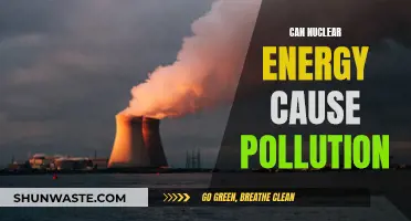 Nuclear Energy: Pollution Paradox?