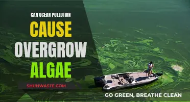 Ocean Pollution's Impact: Uncontrollable Algae Growth?