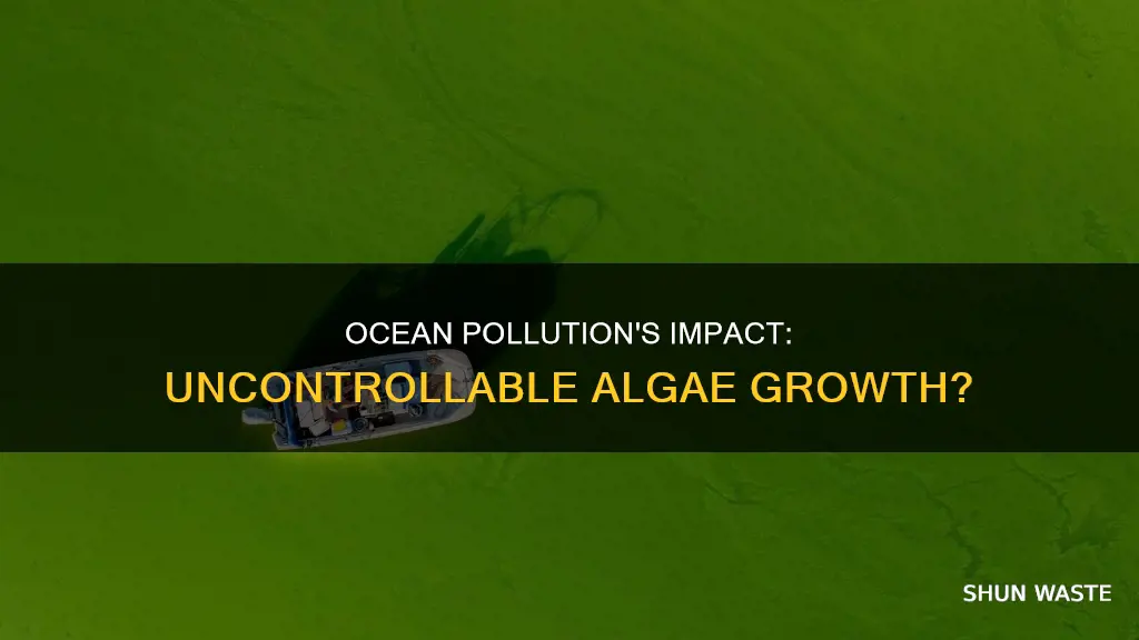 can ocean pollution cause overgrow algae