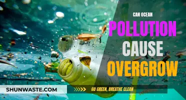 Ocean Pollution: Unseen Impact on Overgrowth and Health