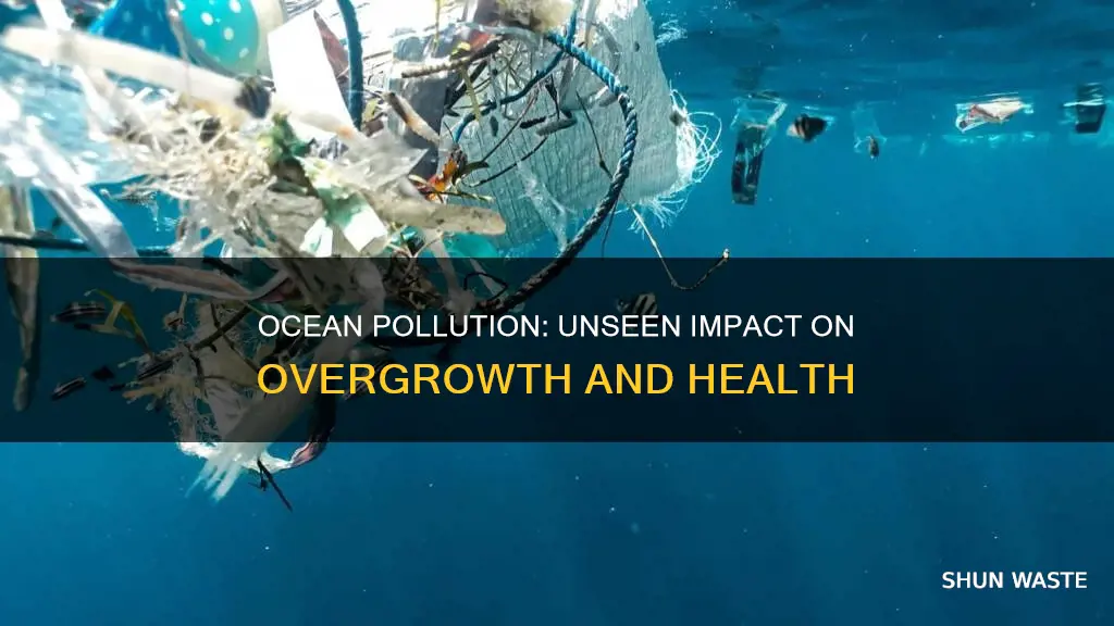 can ocean pollution cause overgrow