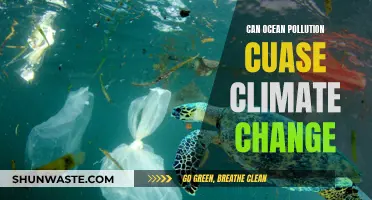 Ocean Pollution's Climate Change Impact: A Complex Connection