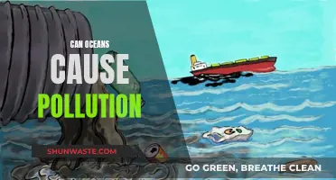 Oceanic Pollution: Can the Ocean Cause Environmental Harm?