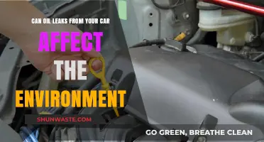 How Car Oil Leaks Harm Our Environment: A Hidden Threat