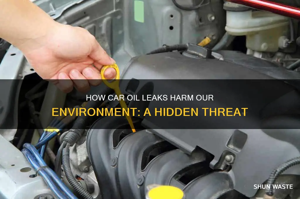 can oil leaks from your car affect the environment