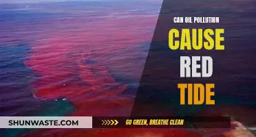 Oil Pollution and Red Tide: A Complex Link