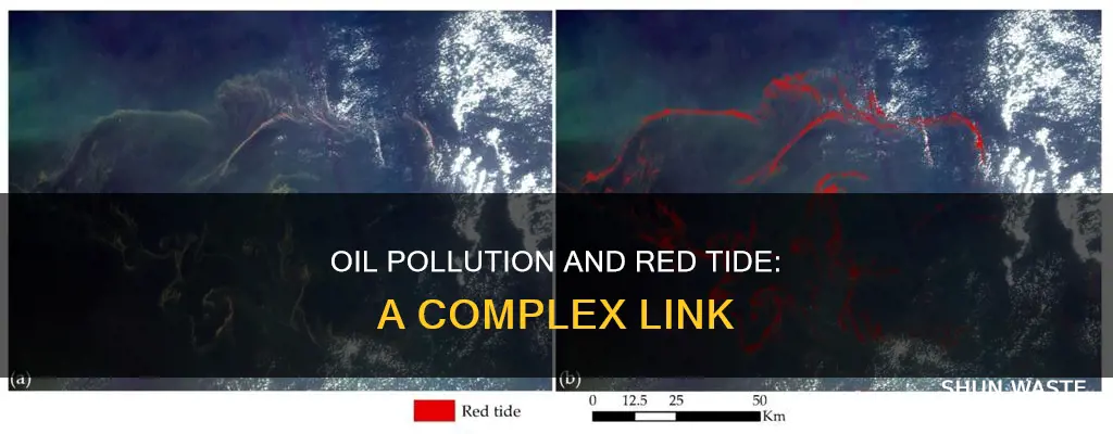 can oil pollution cause red tide