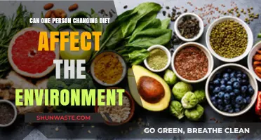 One Diet, Big Impact: How Personal Food Choices Shape Our Planet