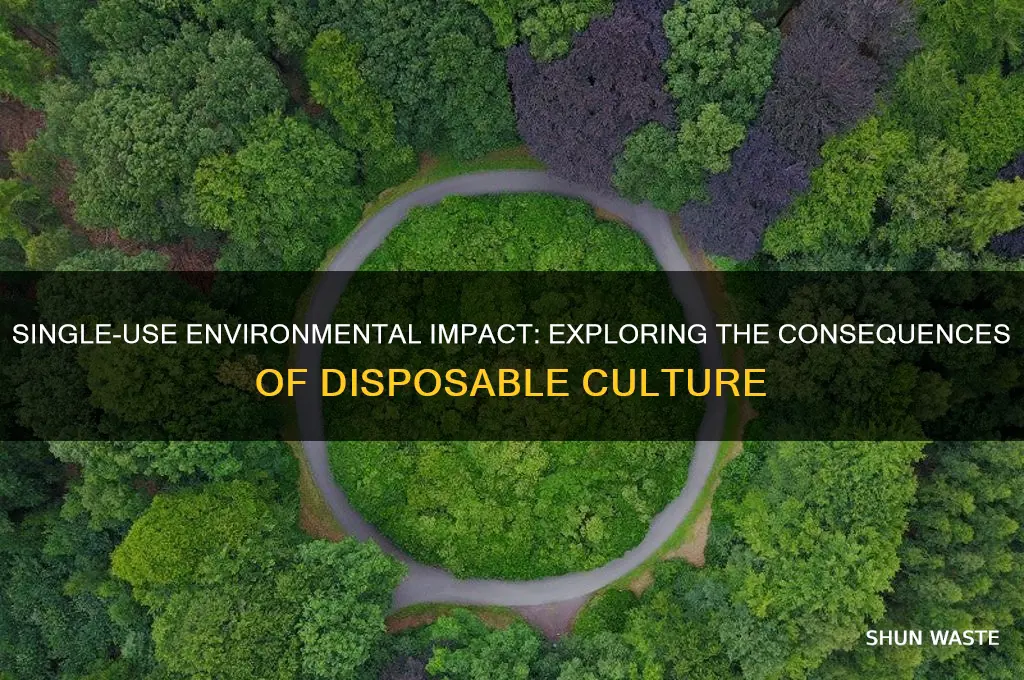 can only be used once environment