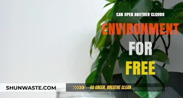 Free Cloud9 Environment: How to Open Another Without Cost