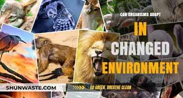 Organisms' Resilience: Adapting to Survive in Transformed Environments