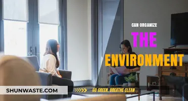 Organize Your Environment: Simple Strategies for a Productive and Calm Space