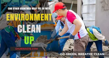 Global Collaboration: Can International Efforts Aid EU's Environmental Cleanup?