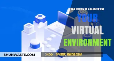 Sharing Virtual Environments on Clusters: Best Practices and Security Tips
